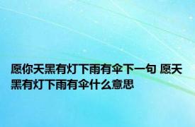 愿你天黑有灯下雨有伞下一句 愿天黑有灯下雨有伞什么意思