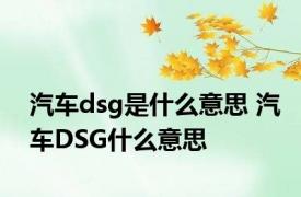 汽车dsg是什么意思 汽车DSG什么意思