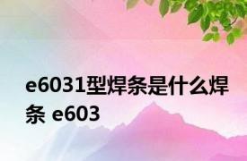 e6031型焊条是什么焊条 e603 