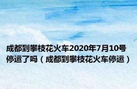 成都到攀枝花火车2020年7月10号停运了吗（成都到攀枝花火车停运）