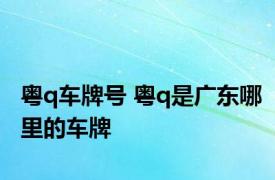 粤q车牌号 粤q是广东哪里的车牌