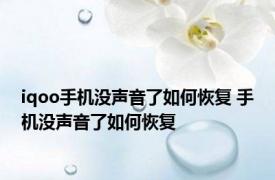 iqoo手机没声音了如何恢复 手机没声音了如何恢复