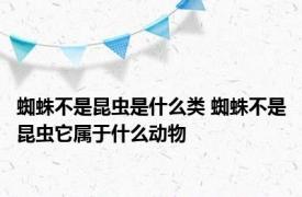 蜘蛛不是昆虫是什么类 蜘蛛不是昆虫它属于什么动物