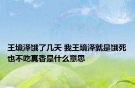 王境泽饿了几天 我王境泽就是饿死也不吃真香是什么意思