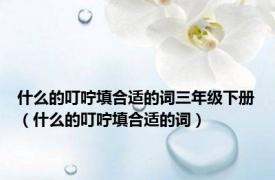 什么的叮咛填合适的词三年级下册（什么的叮咛填合适的词）