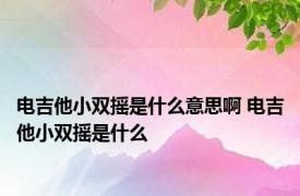 电吉他小双摇是什么意思啊 电吉他小双摇是什么