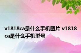 v1818ca是什么手机图片 v1818ca是什么手机型号