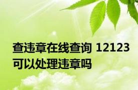 查违章在线查询 12123可以处理违章吗