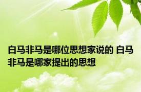 白马非马是哪位思想家说的 白马非马是哪家提出的思想