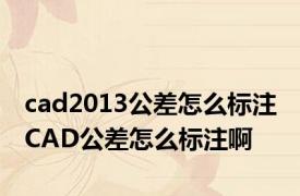 cad2013公差怎么标注 CAD公差怎么标注啊