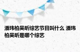 潘玮柏吴昕综艺节目叫什么 潘玮柏吴昕是哪个综艺