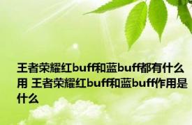 王者荣耀红buff和蓝buff都有什么用 王者荣耀红buff和蓝buff作用是什么