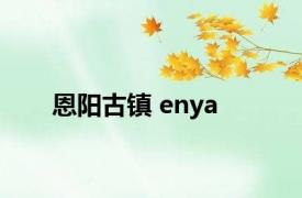 恩阳古镇 enya 