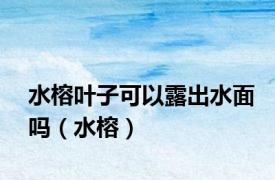 水榕叶子可以露出水面吗（水榕）