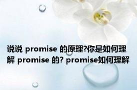 说说 promise 的原理?你是如何理解 promise 的? promise如何理解