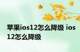 苹果ios12怎么降级 ios12怎么降级