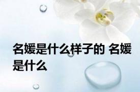 名媛是什么样子的 名媛是什么 