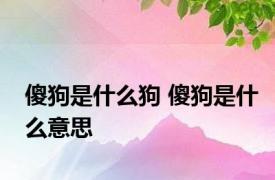 傻狗是什么狗 傻狗是什么意思