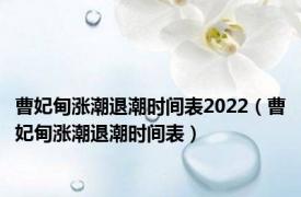 曹妃甸涨潮退潮时间表2022（曹妃甸涨潮退潮时间表）