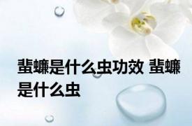 蜚蠊是什么虫功效 蜚蠊是什么虫