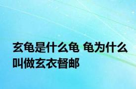 玄龟是什么龟 龟为什么叫做玄衣督邮