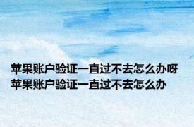 苹果账户验证一直过不去怎么办呀 苹果账户验证一直过不去怎么办