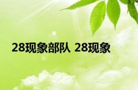 28现象部队 28现象 