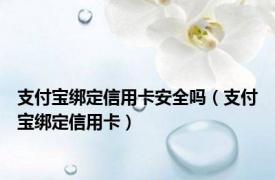 支付宝绑定信用卡安全吗（支付宝绑定信用卡）