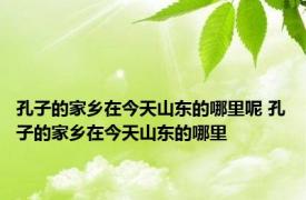 孔子的家乡在今天山东的哪里呢 孔子的家乡在今天山东的哪里