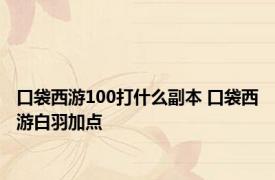 口袋西游100打什么副本 口袋西游白羽加点 