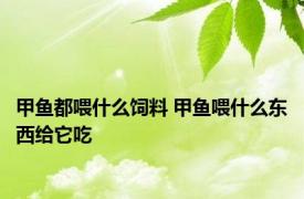 甲鱼都喂什么饲料 甲鱼喂什么东西给它吃