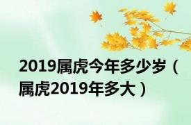 2019属虎今年多少岁（属虎2019年多大）