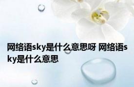 网络语sky是什么意思呀 网络语sky是什么意思