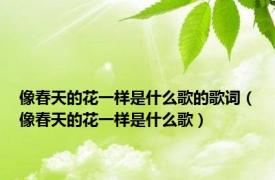 像春天的花一样是什么歌的歌词（像春天的花一样是什么歌）