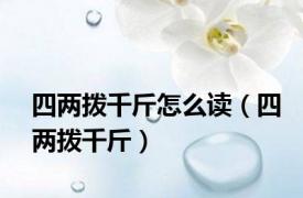 四两拨千斤怎么读（四两拨千斤）