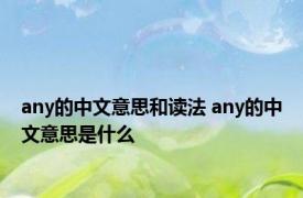 any的中文意思和读法 any的中文意思是什么