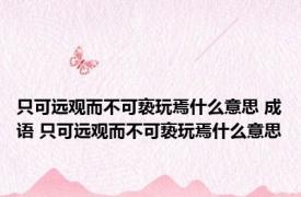 只可远观而不可亵玩焉什么意思 成语 只可远观而不可亵玩焉什么意思