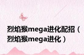 烈焰猴mega进化配招（烈焰猴mega进化）