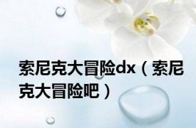 索尼克大冒险dx（索尼克大冒险吧）