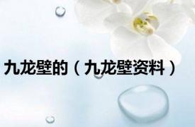 九龙壁的（九龙壁资料）