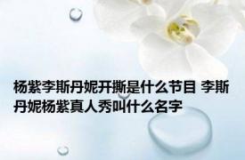 杨紫李斯丹妮开撕是什么节目 李斯丹妮杨紫真人秀叫什么名字