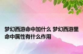 梦幻西游命中加什么 梦幻西游里命中属性有什么作用