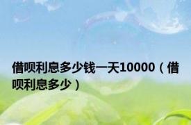 借呗利息多少钱一天10000（借呗利息多少）