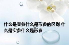 什么是实参什么是形参的区别 什么是实参什么是形参