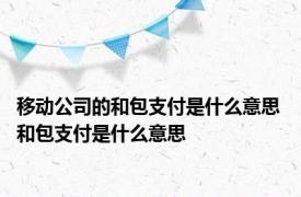 移动公司的和包支付是什么意思 和包支付是什么意思