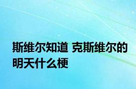 斯维尔知道 克斯维尔的明天什么梗