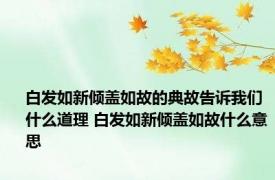 白发如新倾盖如故的典故告诉我们什么道理 白发如新倾盖如故什么意思