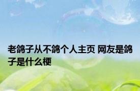 老鸽子从不鸽个人主页 网友是鸽子是什么梗