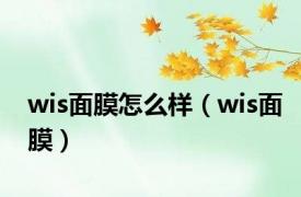 wis面膜怎么样（wis面膜）