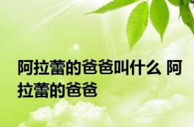 阿拉蕾的爸爸叫什么 阿拉蕾的爸爸 